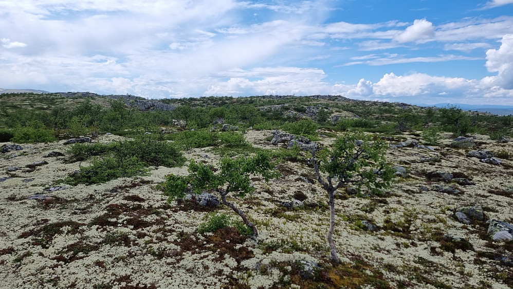 Da dukket toppen opp et stykke inn på fjellet