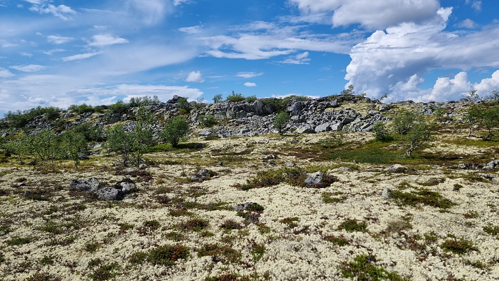 Det høyeste punktet var en stor stein på ryggen her, men toppen var markert et par hundre meter lengre NØ