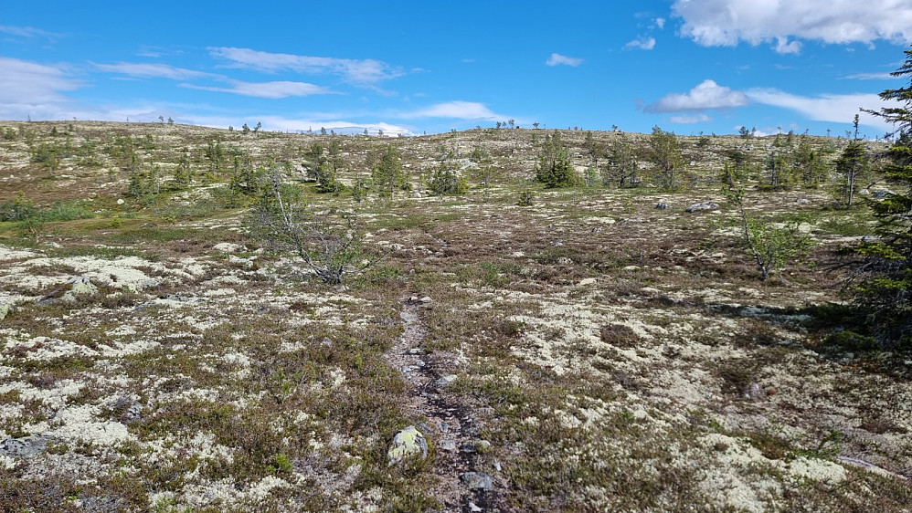 Da kom jeg opp på fjellet og valgte å følge stien opp på ryggen