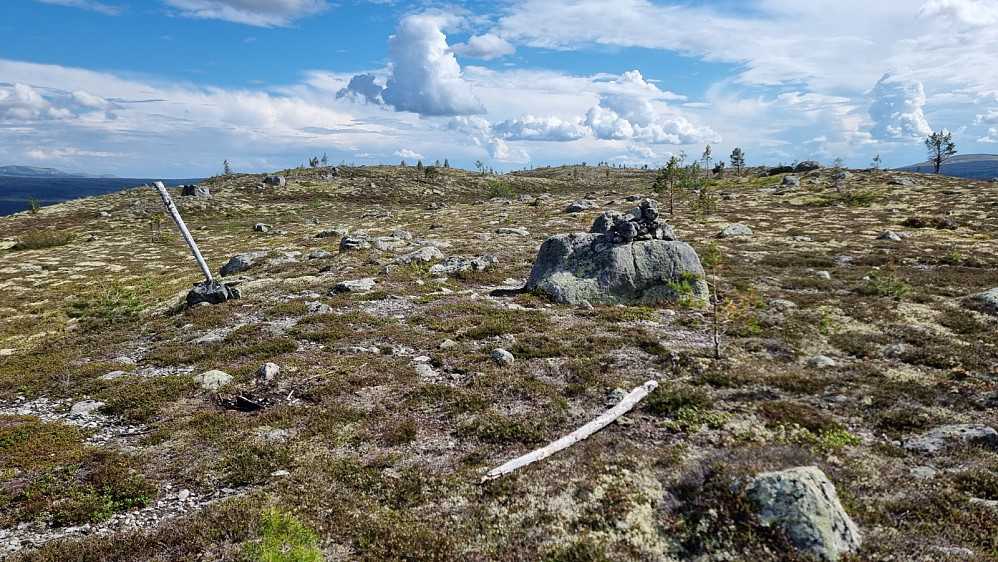 Her tok jeg av stien og satte kursen mot toppen