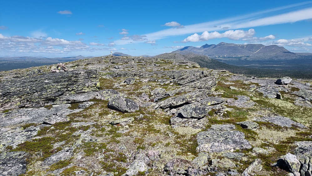 Toppen på Steinfjellet Nord, også med flott utsikt til alle kanter
