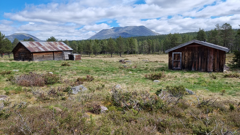 På Lomnesmistersætra og med utsikt opp på Sølen