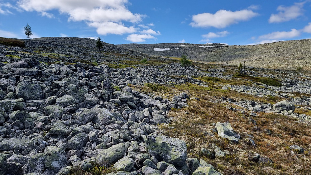 Mer enn nok stein her, så nå gikk det saktere enn hva det gjorde på stien inn