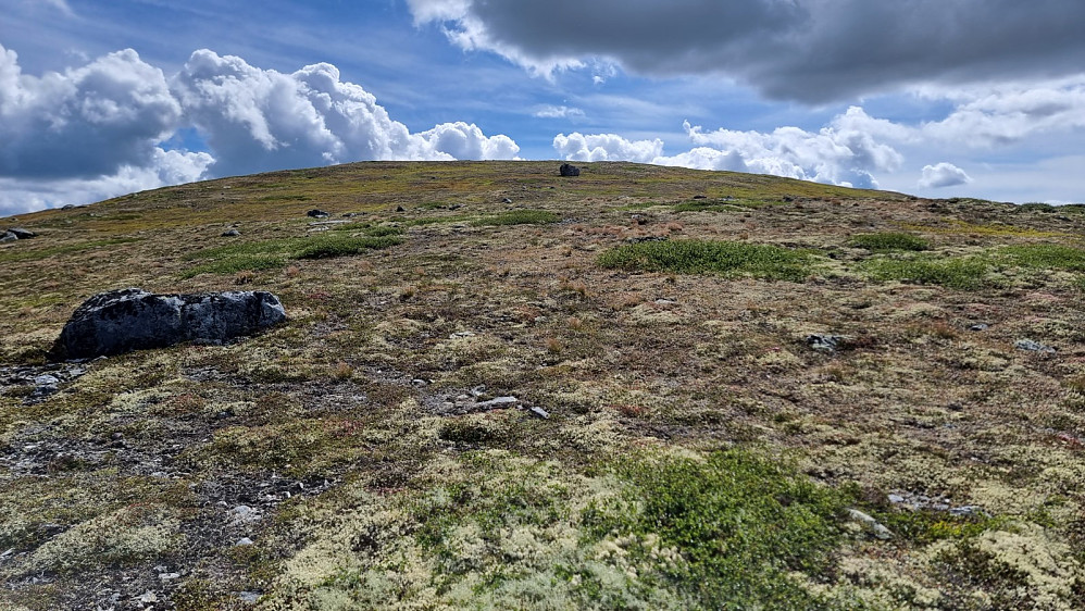 Oppe på ryggen av Storhøgda var det lett å gå