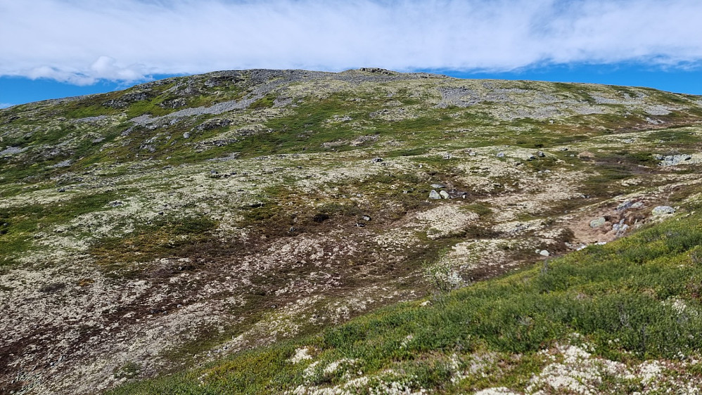 Det var lett å gå og det var en kjølig vind som var behagelig etter all varmen de siste dagene