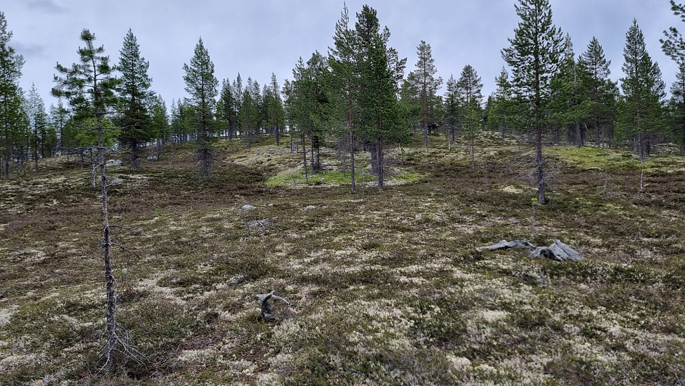 Her begynte stigningen opp mot topp ryggen