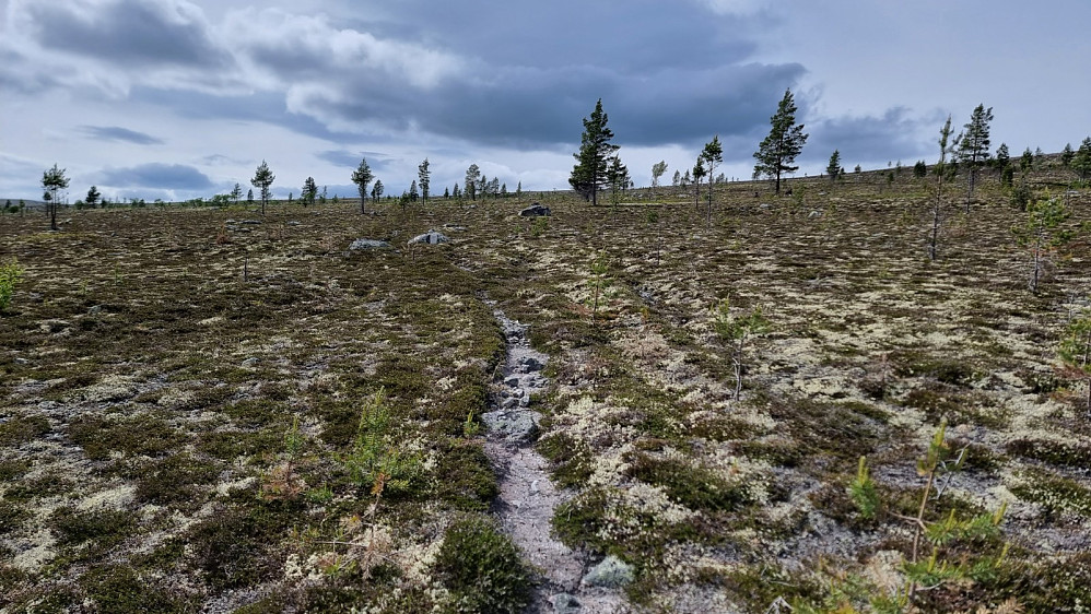 Stien ble mer tydelig oppe på fjellet 