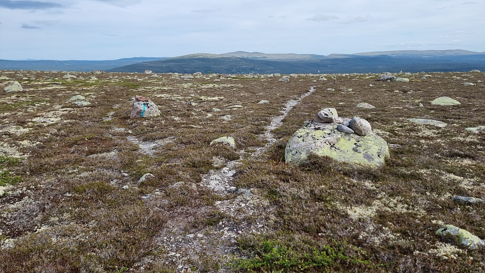 Jeg valgte å følge stien helt opp på ryggen av fjellet for å se om den andre stien kom opp der det skulle i følge kartet, og det gjorde den.