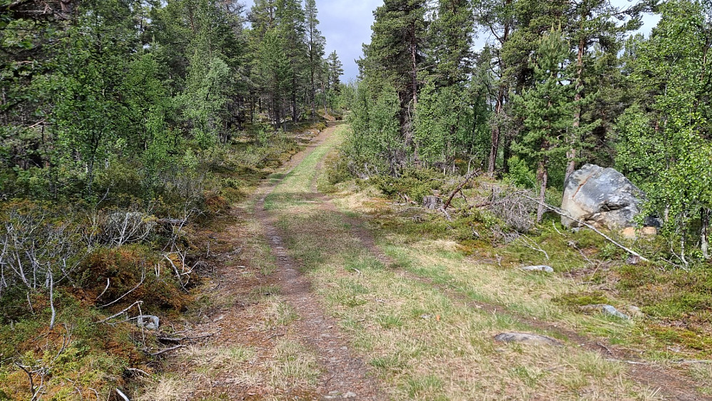 Jeg tok sykkelen den første kilometeren, på fin sykkelvei