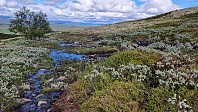 NJK500_20240611_66687687d4cec.jpg