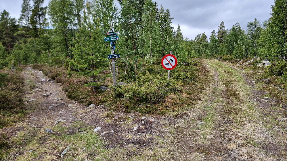 Godt skiltet i alle kryss. Jeg tok stien til venstre
