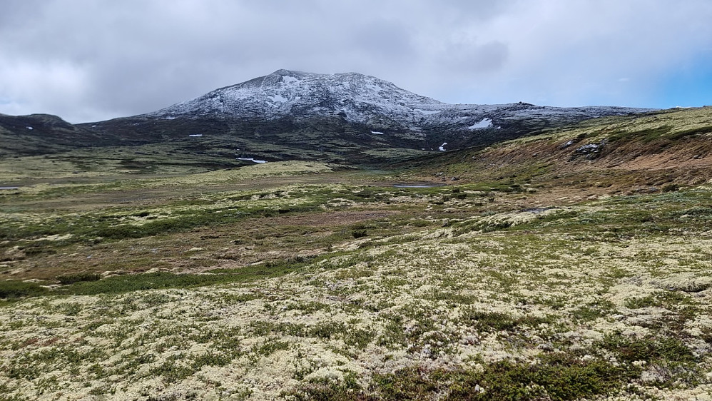 Stien tok en lang sving opp mot fjellet