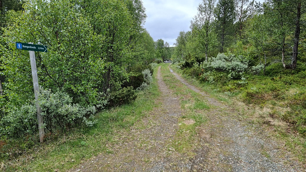 Stien gikk opp ved grinda i innkjørselen til hytta