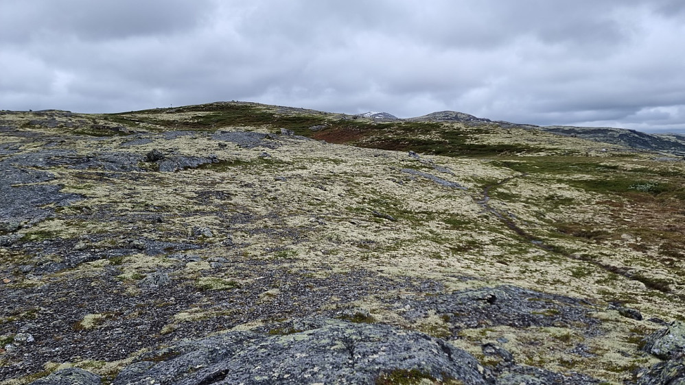 Oppe på fjellet gikk det lett siste biten opp til høyeste punkt