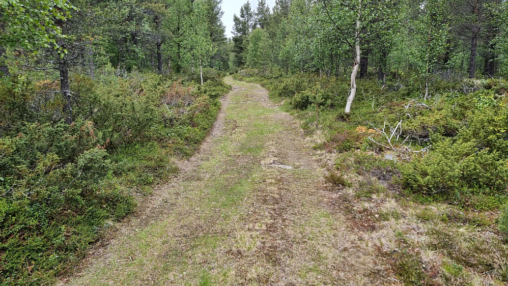 Fin vei å sykle i starten av turen