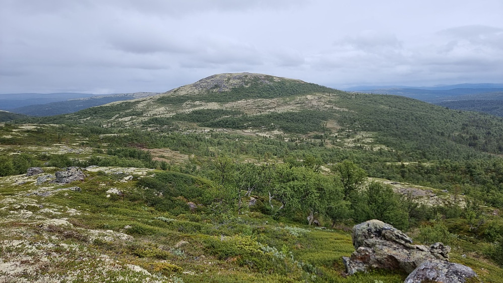 Over mot dagens første topp