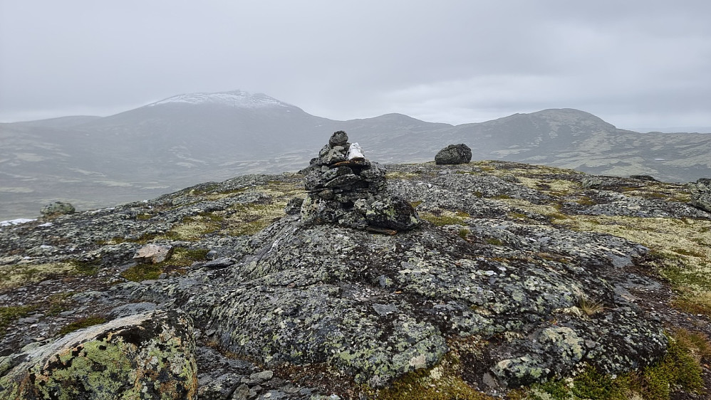 Toppen av Sandvikskletten. Rødalshøa i bakgrunnen