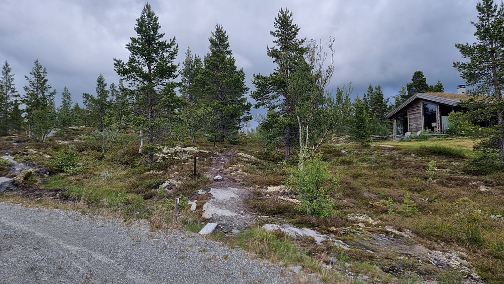 Jeg syklet fra sentrum og opp et hyttefelt hvor stien startet litt før veien tok slutt