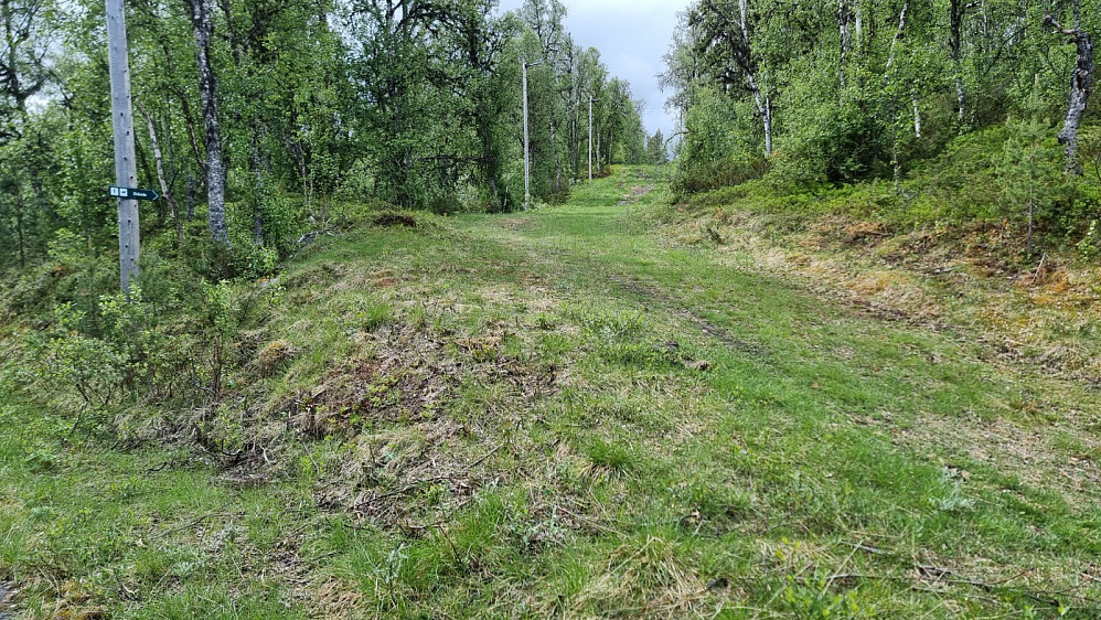 Jeg startet opp lysløypa, og det var sleipt føre