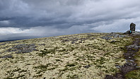 NJK500_20240613_666accf2b9668.jpg