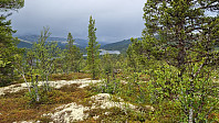 NJK500_20240613_666accf3b4815.jpg