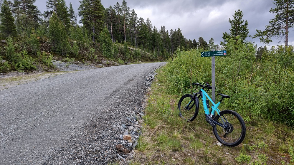 Jeg krysset veien og fortsatte på fin sti gjennom skogen