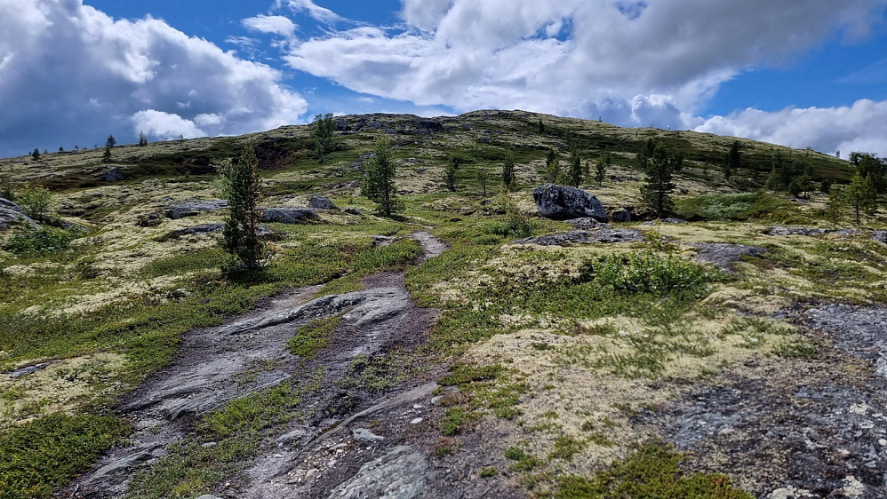 Oppe av skogen ble det mer bart berg å sykle på