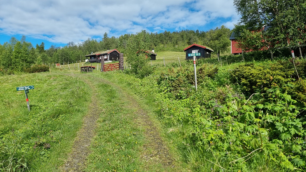 Jeg syklet på vei opp til Fiskviksætra og tok av på sti til høyre