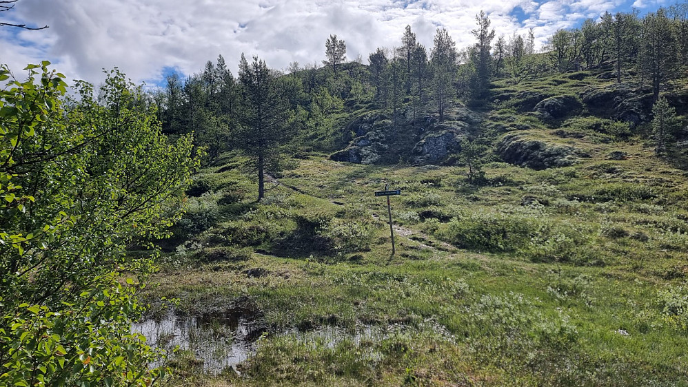 Her parkerte jeg sykkelen og tok opp den bratte fjellsiden hvor jeg ikke fant noen sti. Bildet er tatt mot stien som gikk opp mot Savalkletten