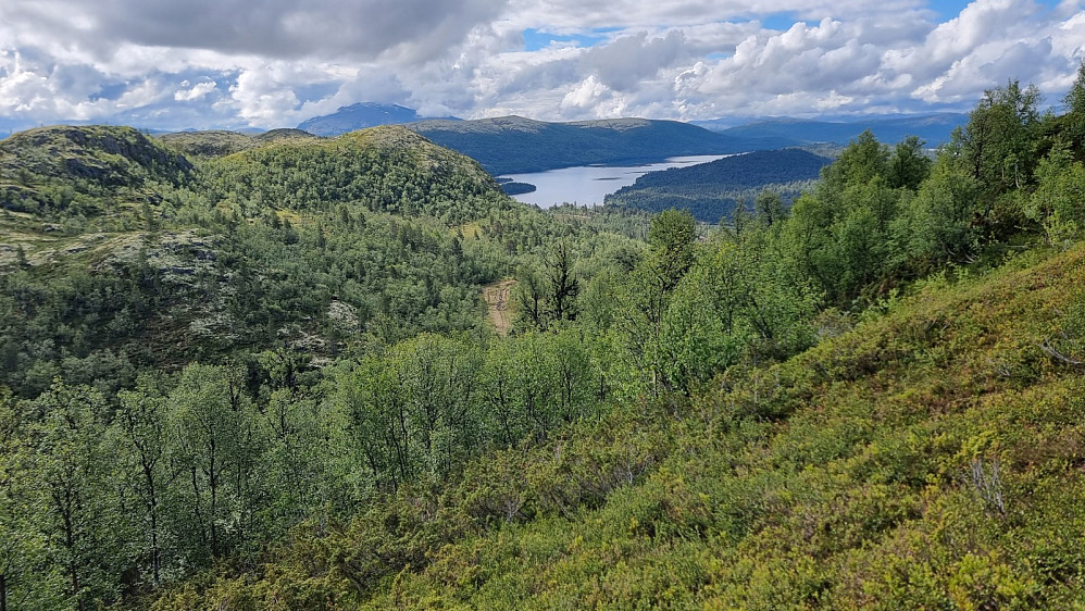 Tilbakeblikk ned mot Savalen