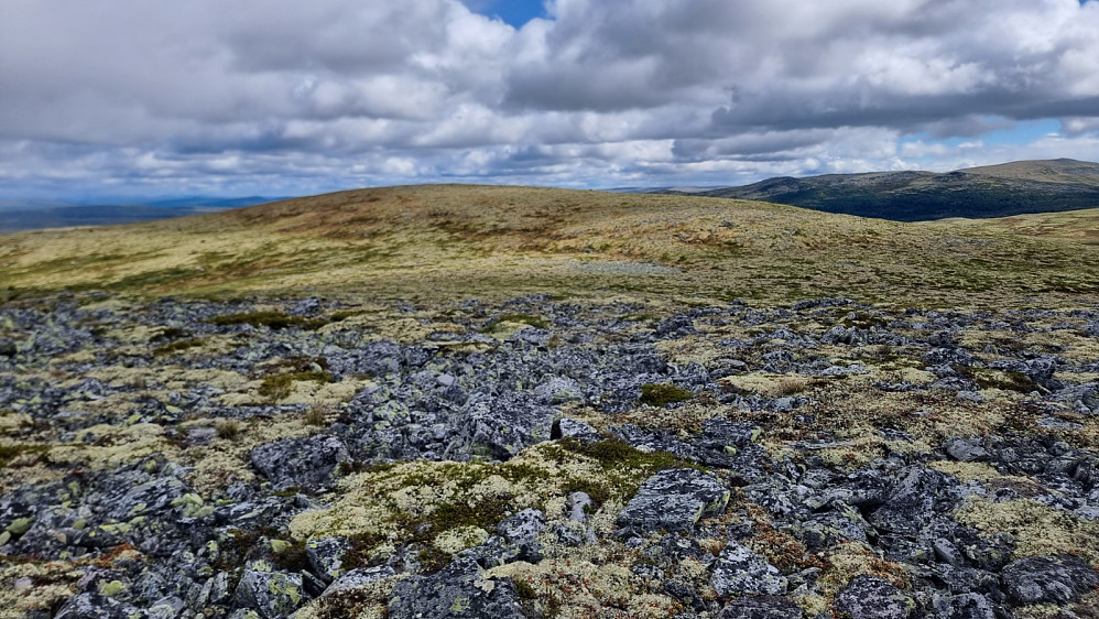 Etter en varm tur opp skogen kom jeg etter hvert opp på fjellet. Her fra en liten fortopp og bort på Varmfjellet