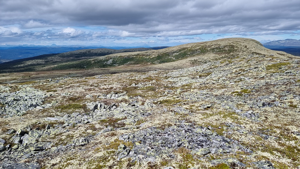 Tilbakeblikk opp på Vestnubben