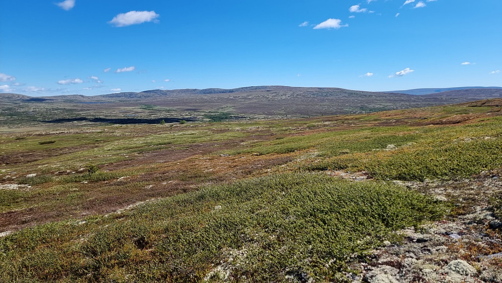 Det var langt bort til Borveggen, så det ble en seig tur bort dit