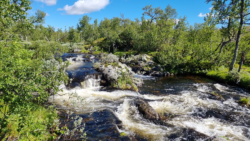 Det var stor vannføring i Villfallet, og jeg måtte av med bukse og sko for å komme over