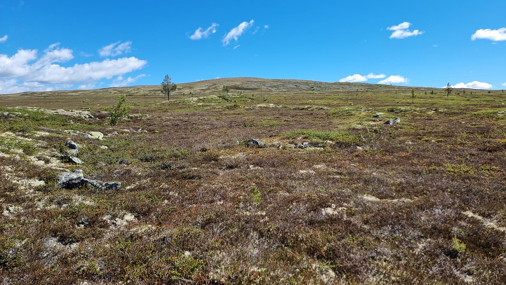 Ganske lettgått underlag, men monotont og seigt å gå