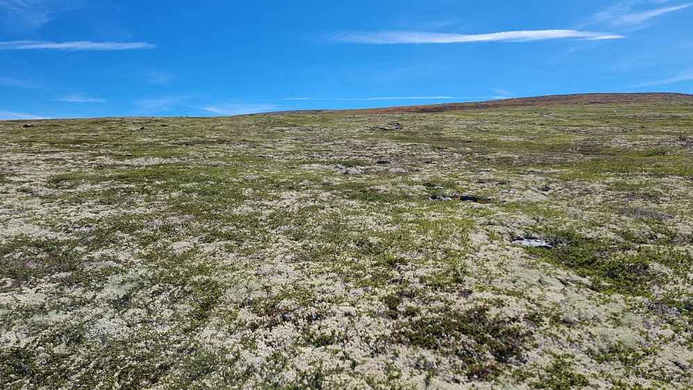 Flatt og ensformig landskap|