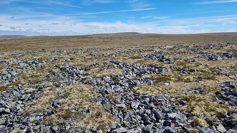 Oppe på fjellet var det heldigvis lett å gå, så jeg holdt et greit tempo