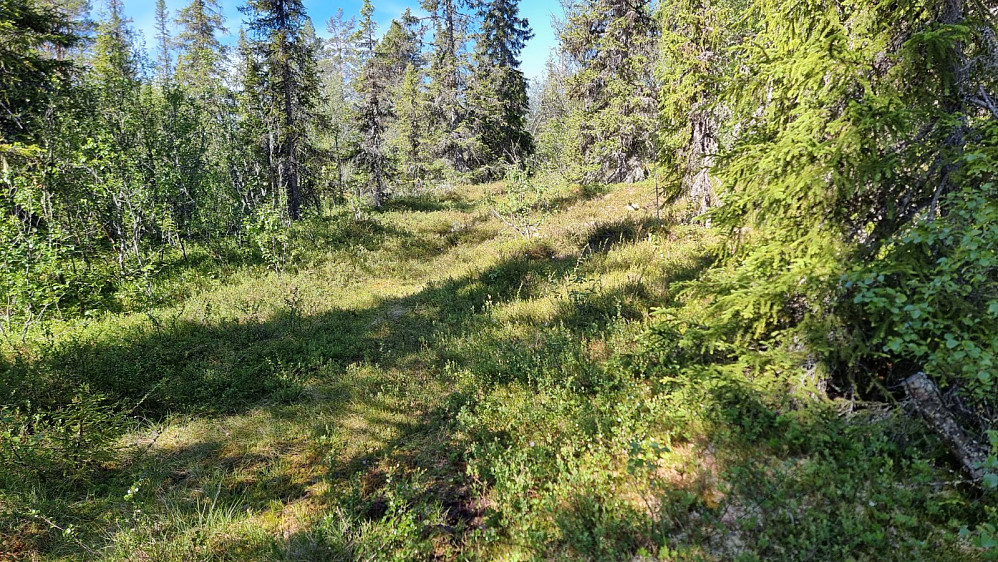 Etter å ha krysset bekken var det noen hundre meter med våt sti