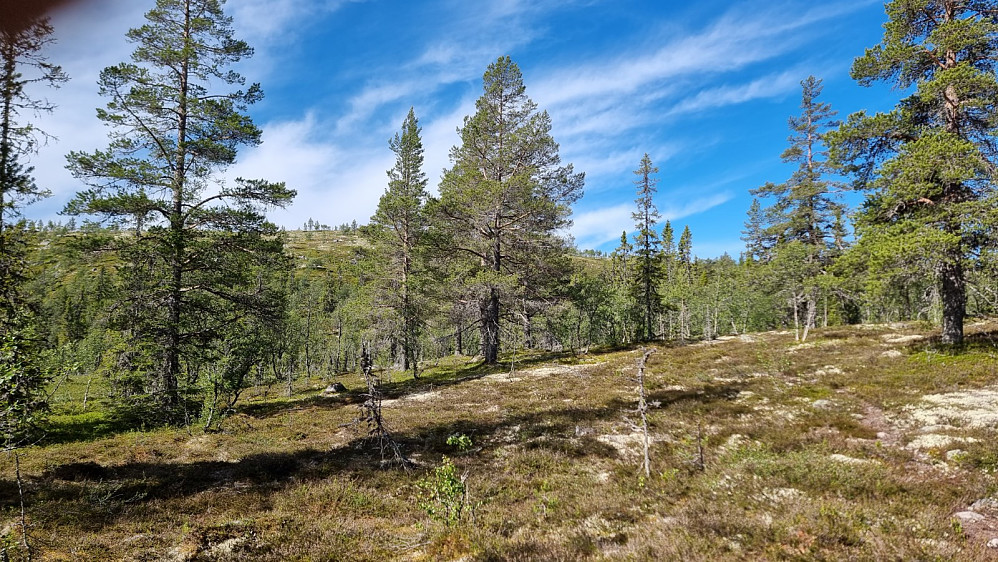 Etter hvert fikk jeg se fjellet til venstre for stien