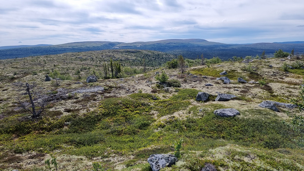 Bort mot sørøst punktet som jeg gikk bortom på returen