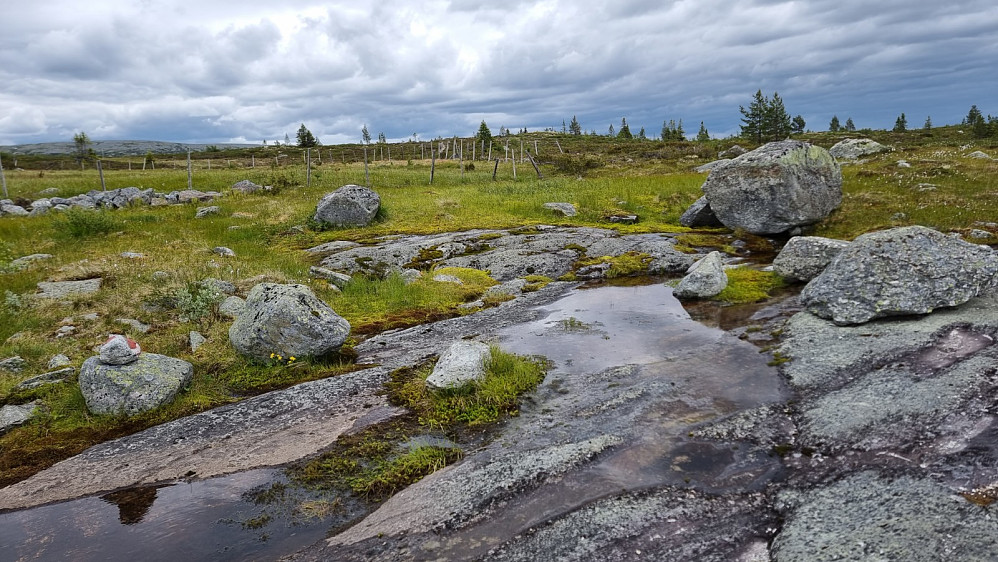 Litt bustete akkurat i starten, men jeg kom i gang etter å ha vært av sykkelen noen ganger