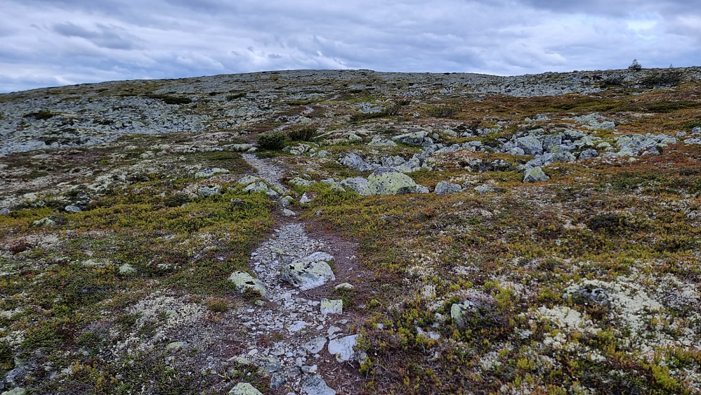 Mye stein siste biten mot toppen, men jeg behøvde ikke å gå av sykkelen så mange ganger