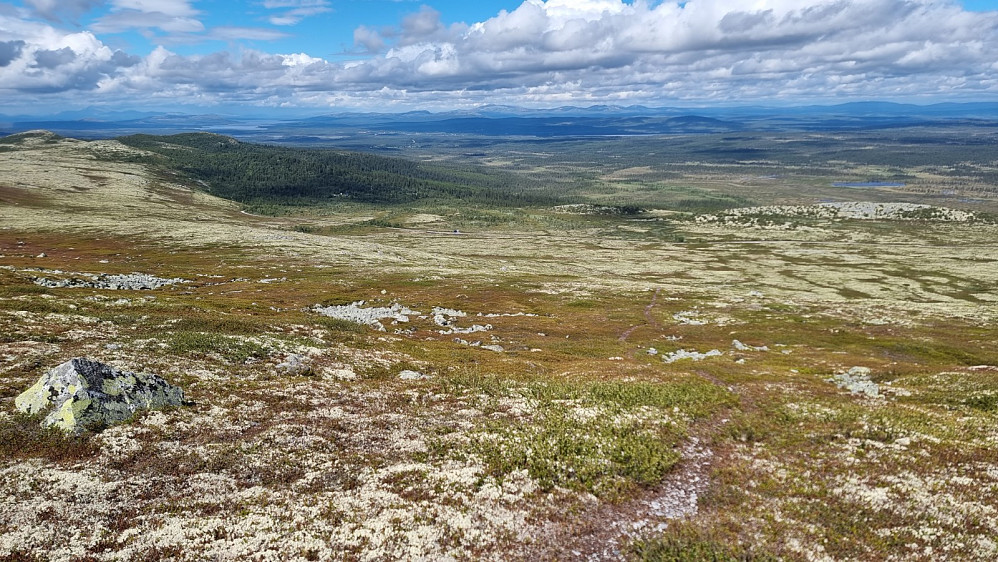 Tilbakeblikk litt opp i fjellsiden