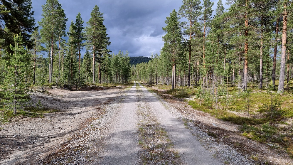 Litt inn på grusveien var det fri sikt opp på toppen