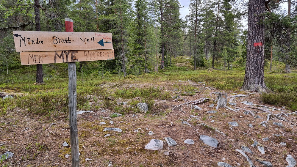 Jeg tok det bratte alternativet