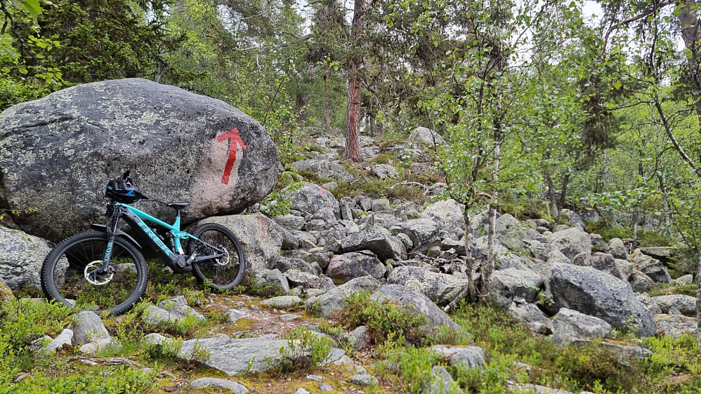Her vurderte jeg det som fornuftig å parkere sykkelen