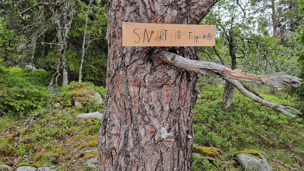 Snart og snart, det var fortsatt litt motbakke igjen
