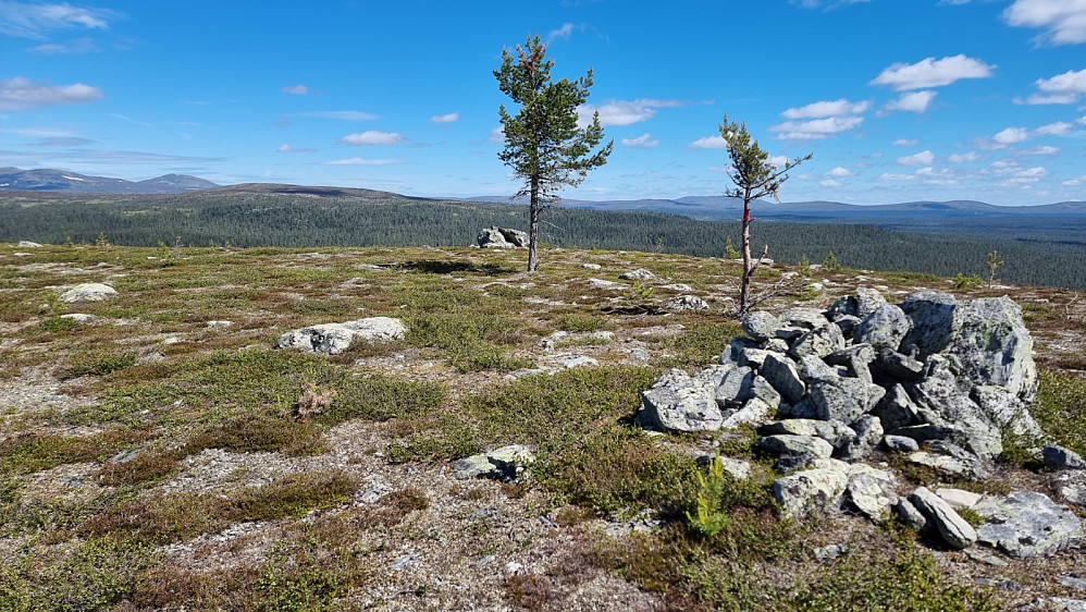 Flott utsikt over mot Gutulivola