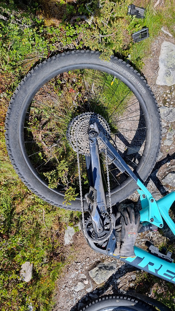 Etter litt over 4 kilometer ble imidlertid drømmen om langtur brutalt knust, da jeg klarte å rive av hele bakgiret mot en tørrkvist