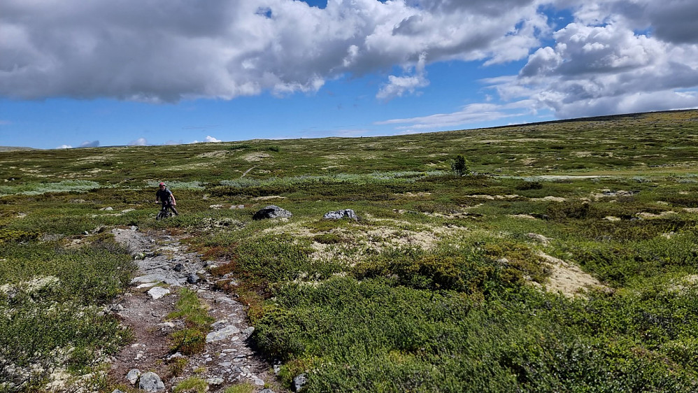 Det funket greit for meg å sykle uten gir og det var fin sti å sykle, så det lovet bra for at vi likevel kunne gjennomføre